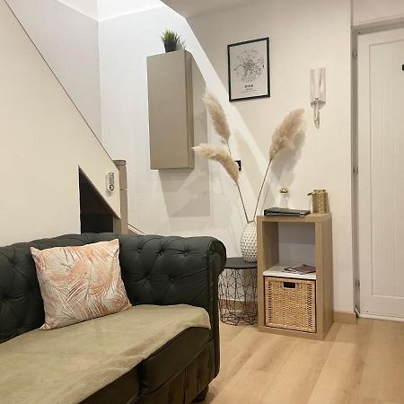 Le Duplex Cosy - Gare & Cite Gastronomique Lejlighed Dijon Eksteriør billede